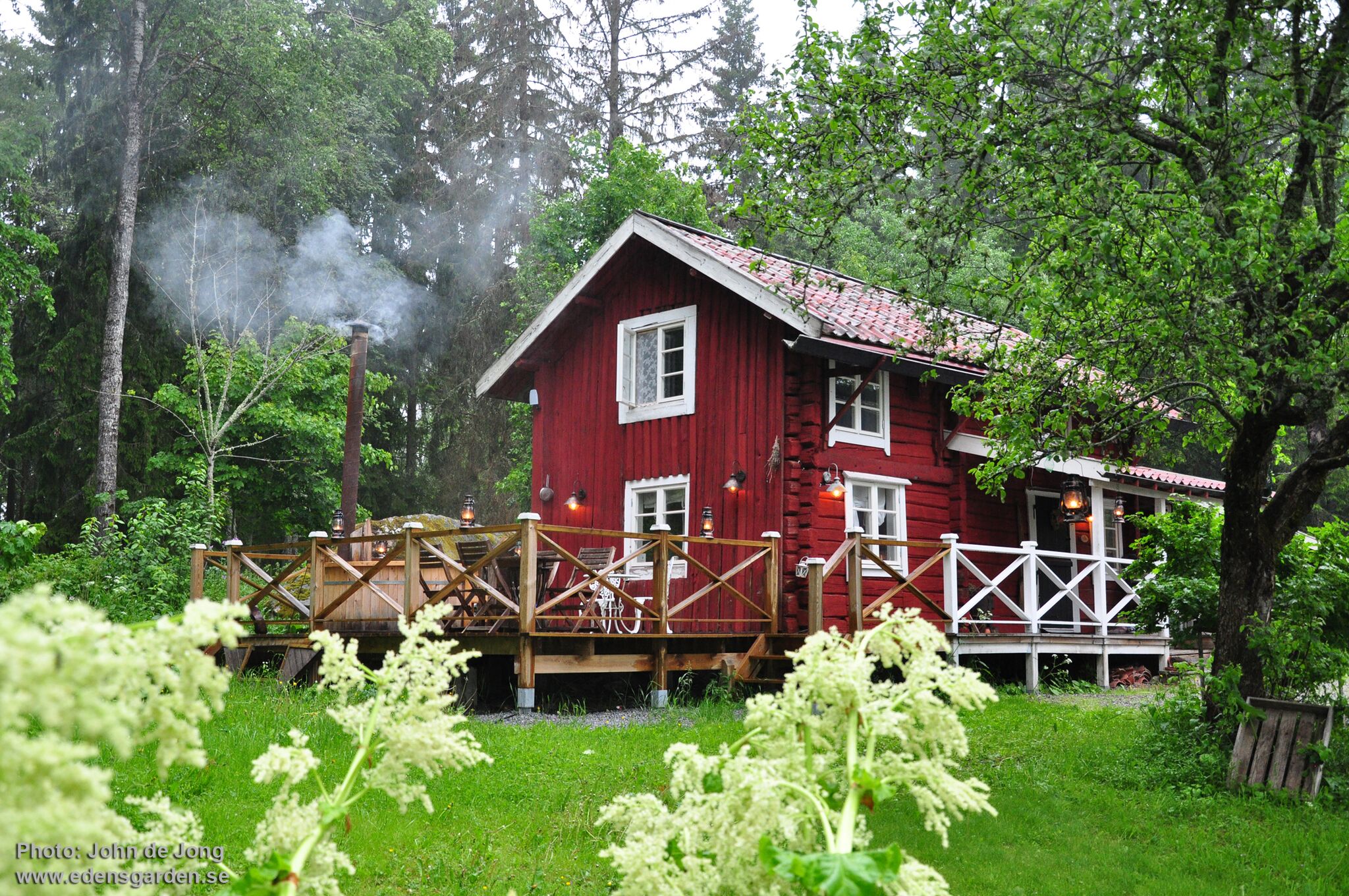 At The Heart Of A Nature Reserve Amazing Nature Scandinavia